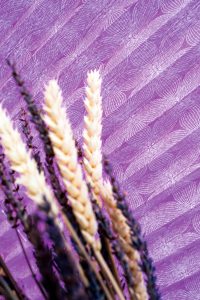 Close up of purple pleated blinds - Blinds Norfolk - Norwich Sunblinds