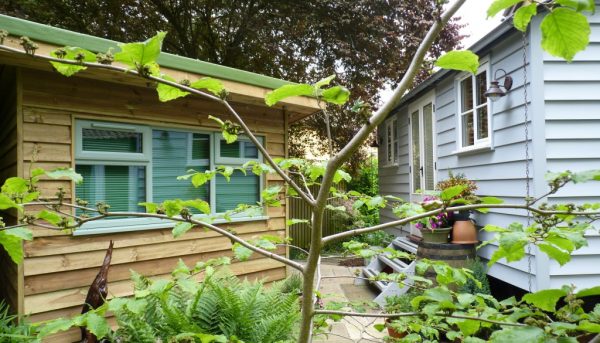 A tree in front of house and shed | Norwich Sunblinds