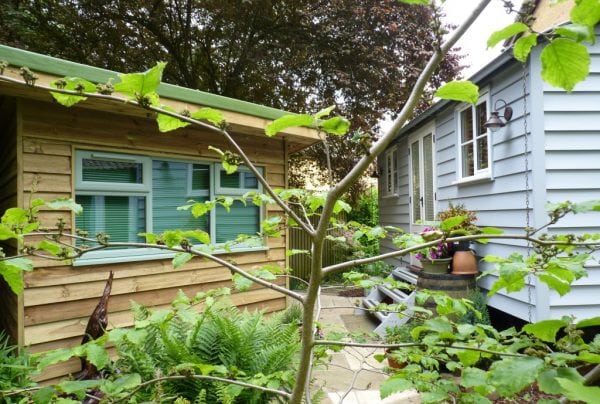 A tree in front of house and shed | Norwich Sunblinds